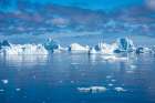 Antarctica. Landscape with ocean and icebergs. Art Print